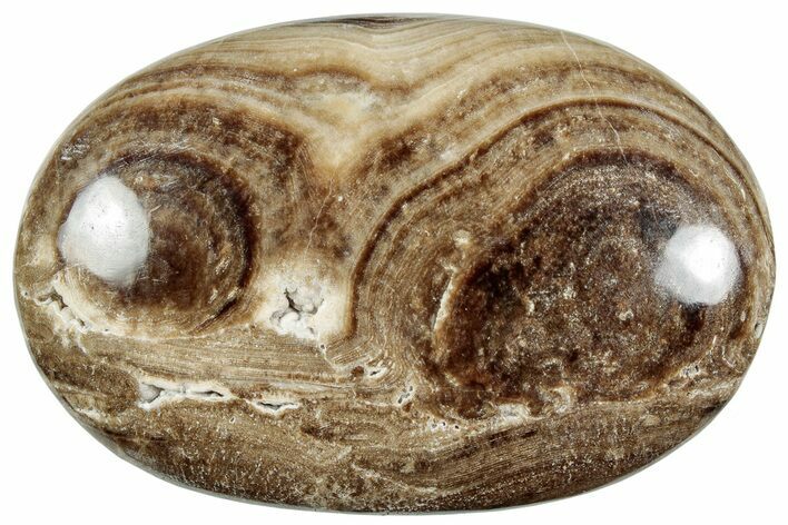 Polished Chocolate Calcite Palm Stone - Pakistan #220932